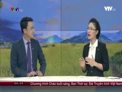 0808 6h30 Du Bao Thoi Tiet
