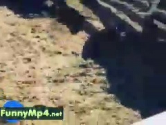 Animal Vs People Funny Completionfunnymp4